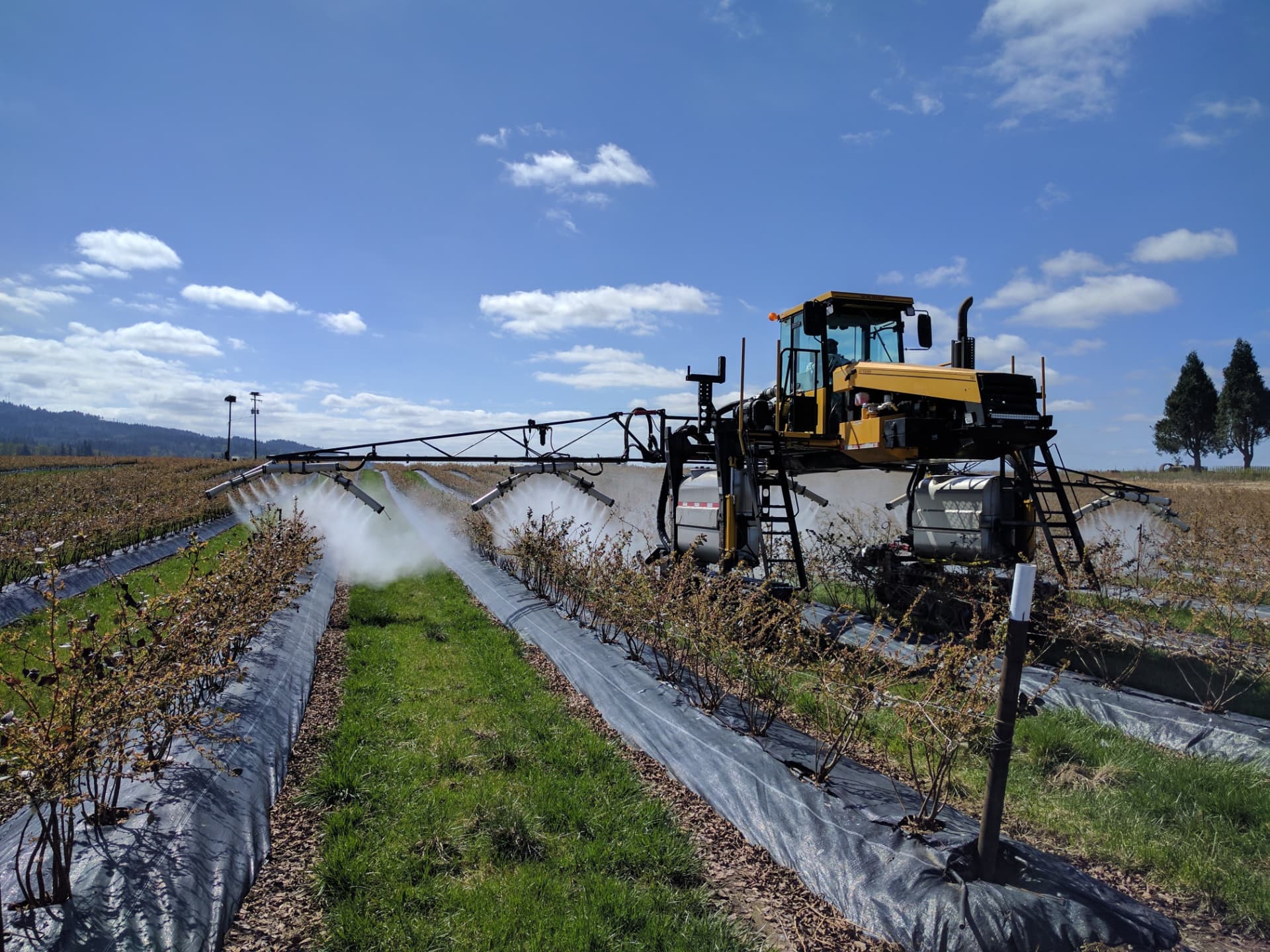OnTarget multi-row boom sprayer on a self-propelled platform spraying blueberry rows