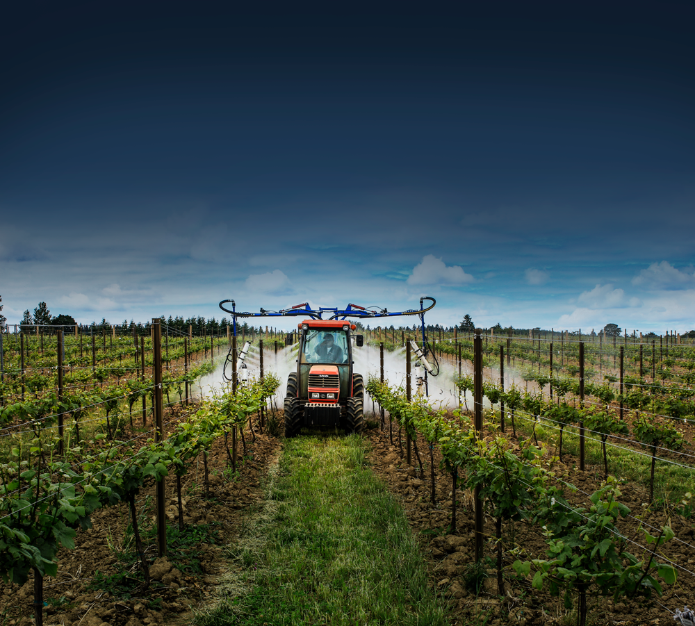 OnTarget two-row overhead boom sprayer treating wine grape vines