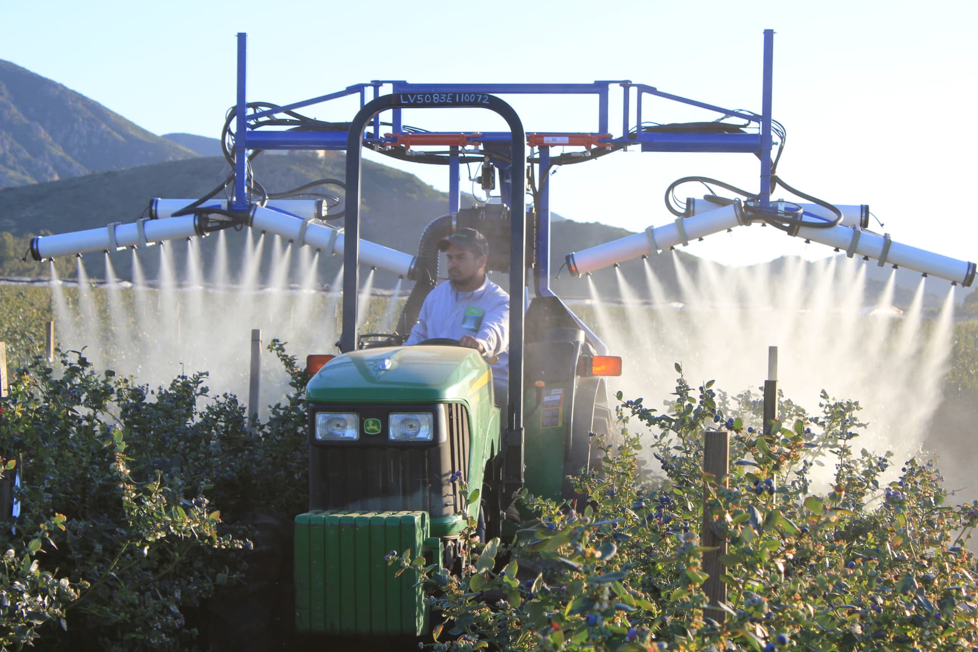 OnTarget two-row overhead boom sprayer working a blueberry field at harvest