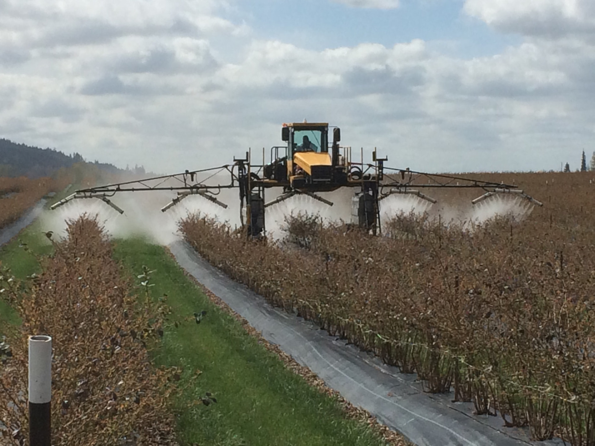 Self-propelled sprayer with OnTarget five-row boom treating dormant blueberry rows