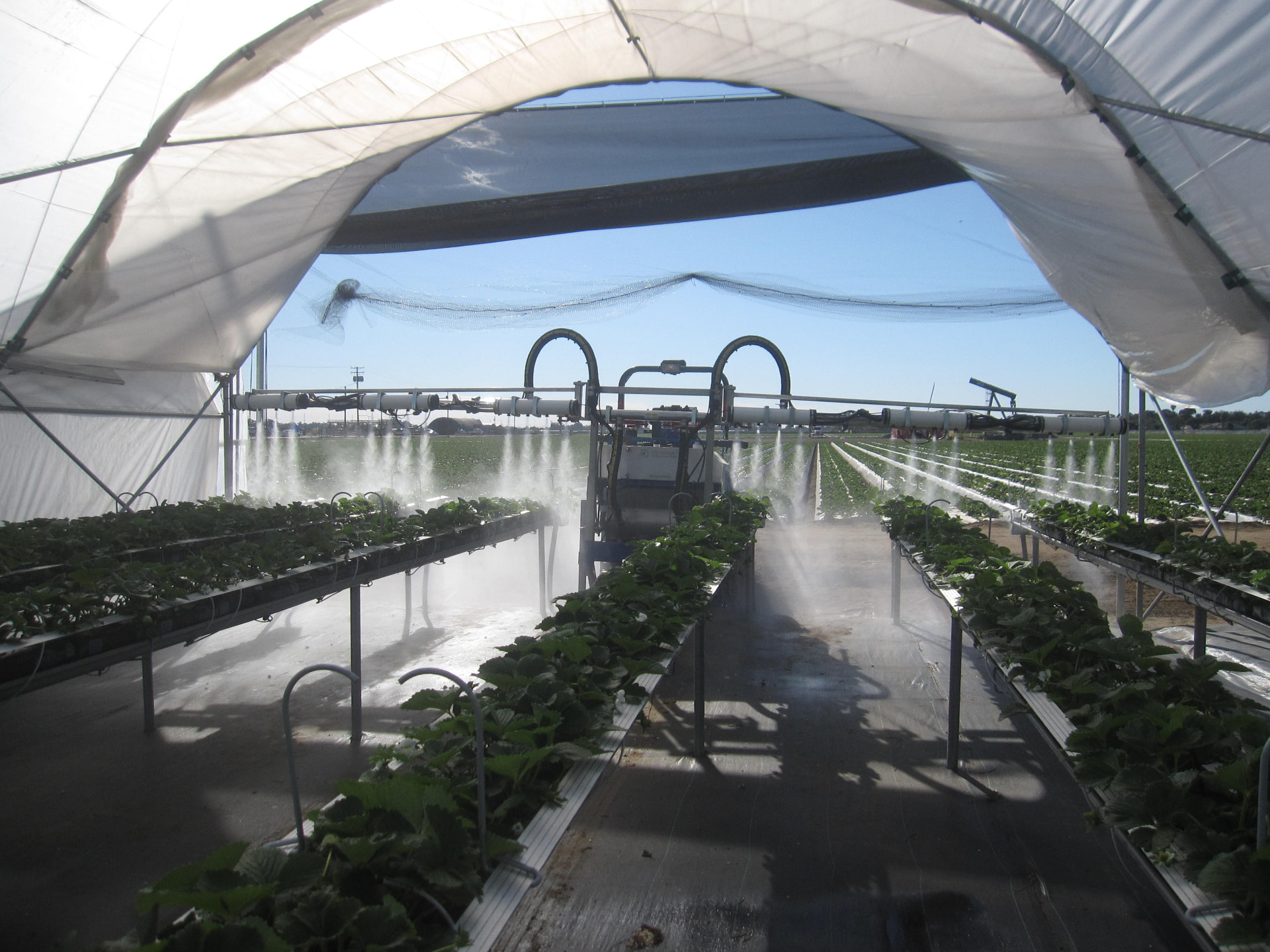 OnTarget electrostatic sprayer running on an autonomous platform in a tabletop strawberry hoophouse