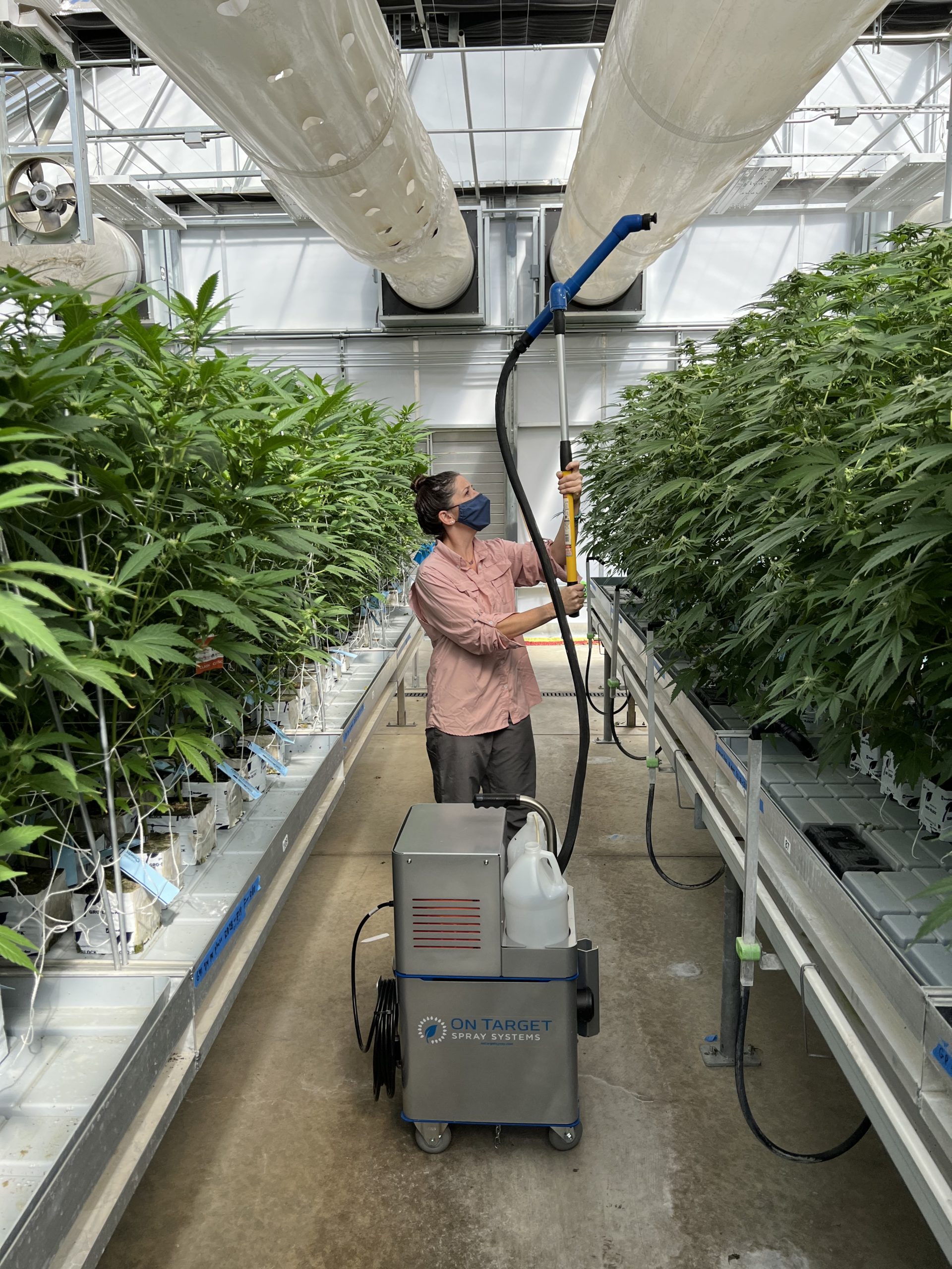cannabis grower uses OnTarget's Cube the foliar feed