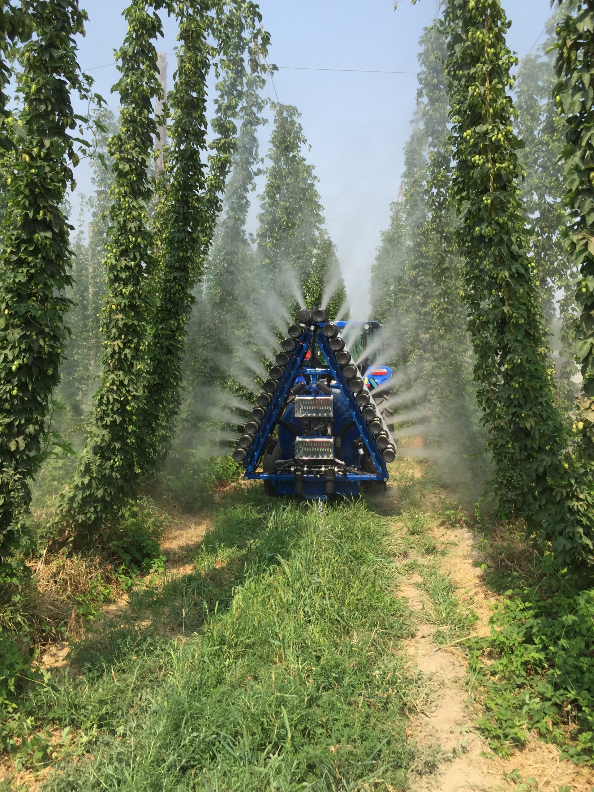 OnTarget LPA fixed sprayer spraying down a row of hops vines on a clear day